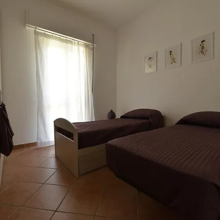 Homely Pride Roma