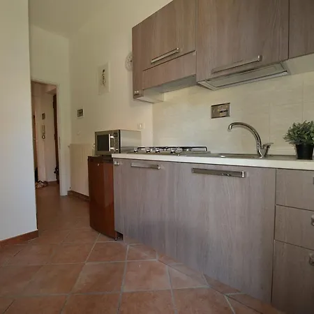 Homely Pride * Roma